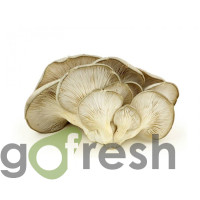 Ciuperci Pleurotus 1kg